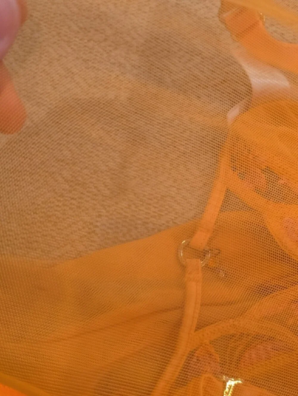 Honey Birdette Orange Sheer Bustier & Bikini Set with Pink Floral Embroidery